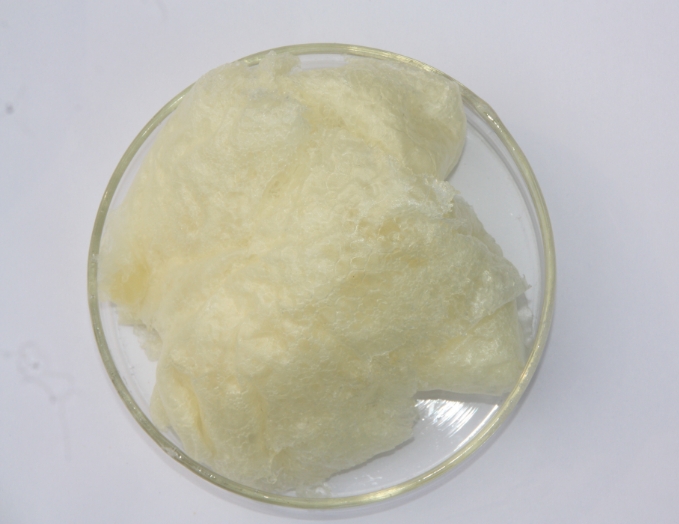 What_Can_Phospholipids_Do_03.png